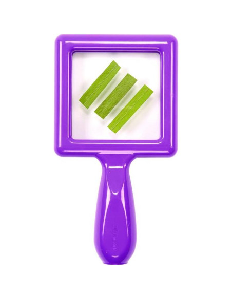 Conjunto de Visores de Especímenes para Niños Discount SPECITOD