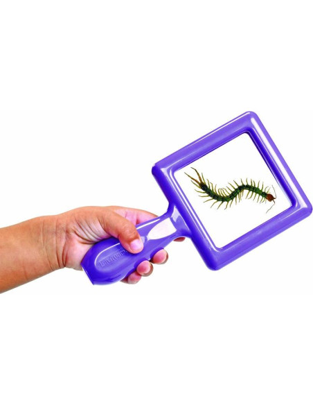 Conjunto de Visores de Especímenes para Niños Discount SPECITOD