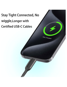 Cable de Carga Rápida USB Tipo C Awnuwuy 10FT Gris 2