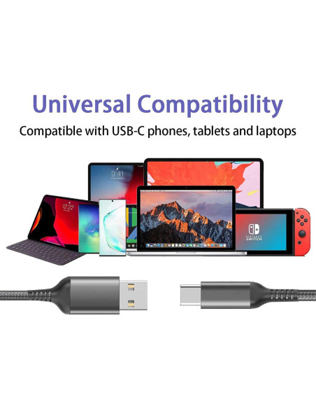 Cable de Carga Rápida USB Tipo C Awnuwuy 10FT Gris