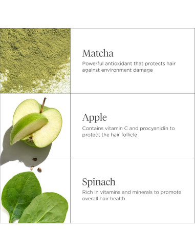 Champú Reponedor Briogeo Superfoods 59 ml - Vegano y Nutritivo