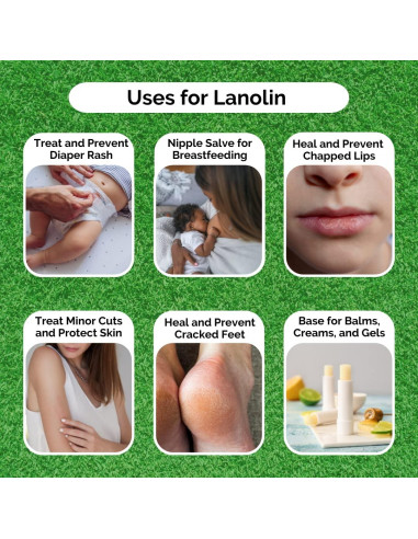 Lanolina Pura Kyabo 113.4g - Hidratante Natural para Piel Seca