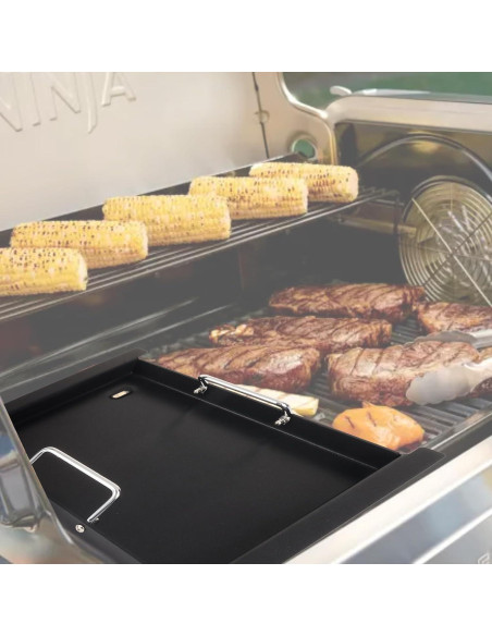 Repuesto de Plancha Media Ninja FlexFlame PG300 Acero Carbono 43.2x31.5cm