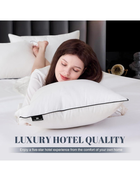 Almohada de Plumas de Pato Mosluna Reina 50x76 cm Suave