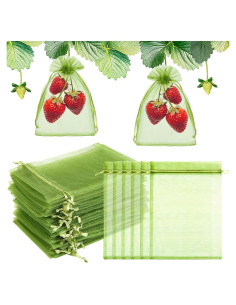 50 Bolsas de Protección de Frutas FloraSea 15x10 cm Verde