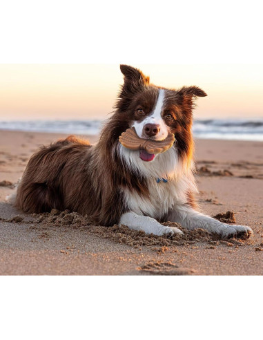 Juguetes para Perros NEZIN Indestructibles 3 Piezas Masticables