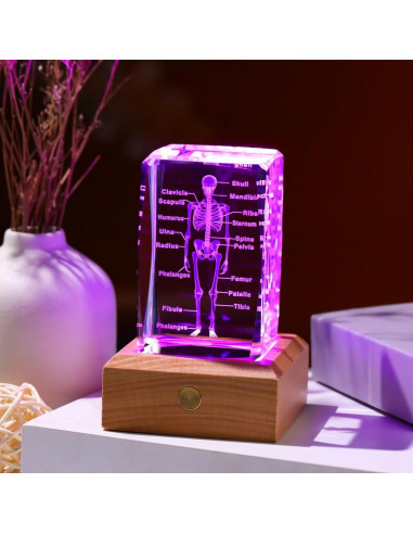 Modelo 3D de Esqueleto Humano en Cristal LED Arikyrist