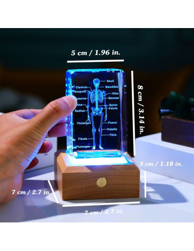 Modelo 3D de Esqueleto Humano en Cristal LED Arikyrist