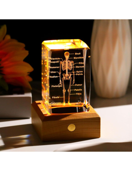 Modelo 3D de Esqueleto Humano en Cristal LED Arikyrist