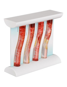 Modelo Vascular SimCoach LDL para Educación Médica 4 Etapas 2