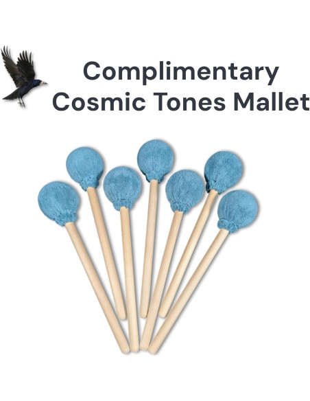 Gong de Bronce Chino Raven Sounds 55.88 cm para Meditación