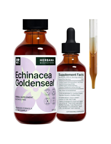 Echinacea y Goldenseal 60 ml - Suplemento Inmunológico Natural