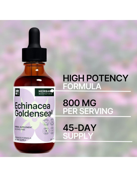 Echinacea y Goldenseal 60 ml - Suplemento Inmunológico Natural