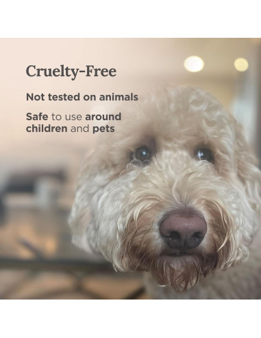 Juego de Velas de Soja Natural Magnífico 101 - Salvia y Lavanda, 3 Piezas, 42 Horas