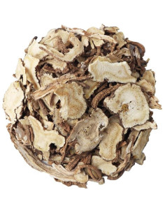 Raíz de Angélica Pura Donguiherb 150g Orgánica Coreana 2