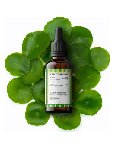 Tintura Orgánica de Gotu Kola Naturaura - 30 Gotas - Apoyo Cognitivo y Memoria