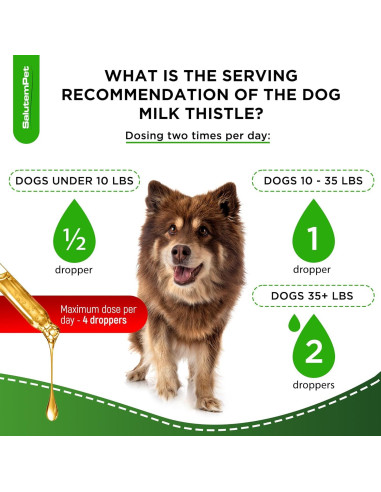 Suplemento Hepático para Perros Cardo Mariano SalutemPet 59 ml