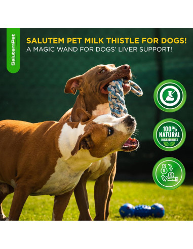 Suplemento Hepático para Perros Cardo Mariano SalutemPet 59 ml