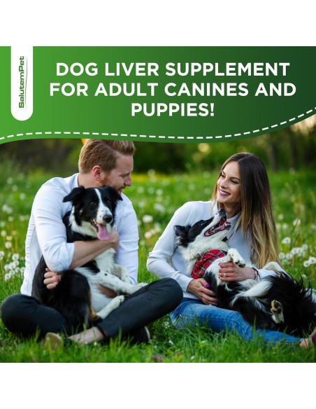 Suplemento Hepático para Perros Cardo Mariano SalutemPet 59 ml