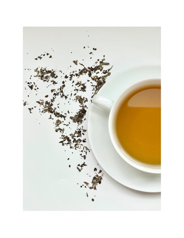 Té de Melisa 30 Bolsas - Hierbas Medicinales de Palm Beach