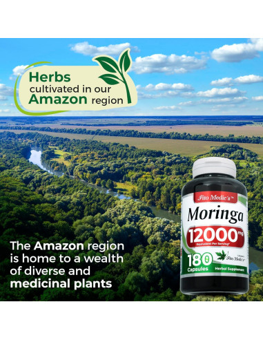 Cápsulas de Moringa Oleifera FITO MEDIC'S 300 Unidades