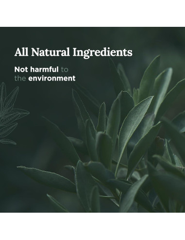 Vela de Aromaterapia Salvia Pura Magnífico 101 397g Cera Soja