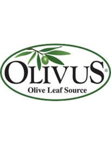 Té de Hoja de Olivo Orgánico Olivus - 100 Bolsitas Sin Cafeína