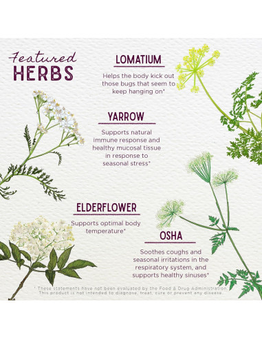 Suplemento Herbal WishGarden Serious V-Fighter 113.4ml - Apoyo Inmunológico