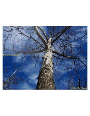 Filtro UV Multicoated 86mm Vivitar Elite para Sony Alpha A900