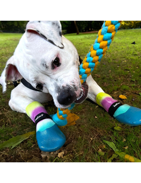 Calcetines Impermeables para Perros PawFlex Mediano Grande Antideslizantes