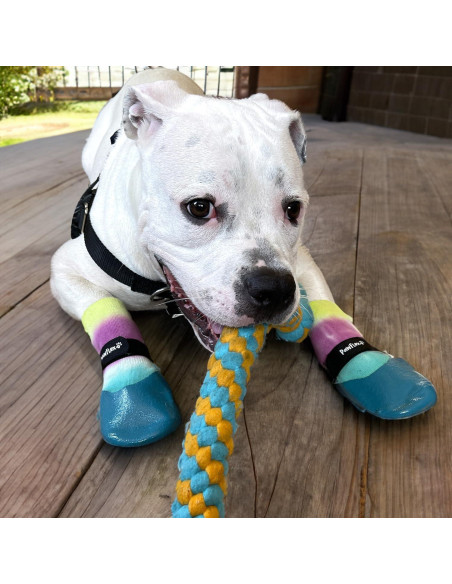 Calcetines Impermeables para Perros PawFlex Mediano Grande Antideslizantes