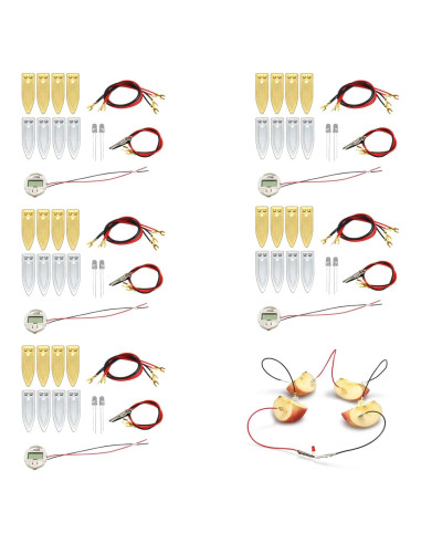 Kit de Experimento Científico de Batería de Frutas Wzttdm - 5 Juegos