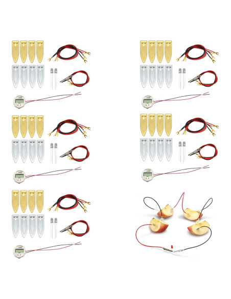 Kit de Experimento Científico de Batería de Frutas Wzttdm - 5 Juegos