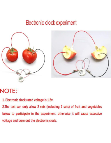 Kit de Experimento Científico de Batería de Frutas Wzttdm - 5 Juegos