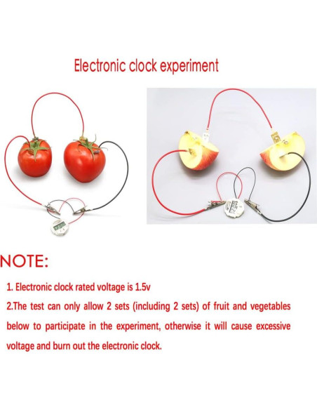 Kit de Experimento Científico de Batería de Frutas Wzttdm - 5 Juegos