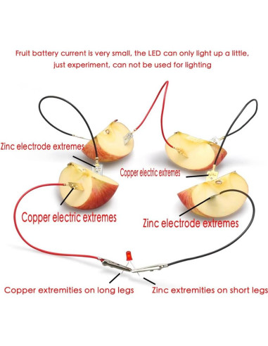 Kit de Experimento Científico de Batería de Frutas Wzttdm - 5 Juegos