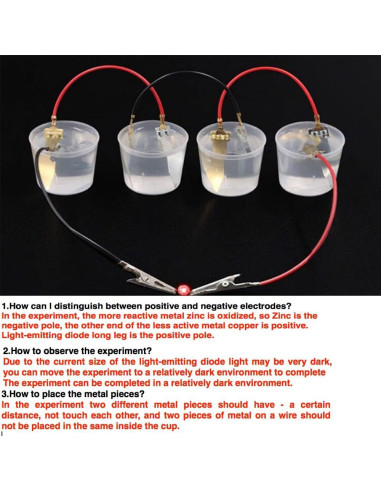 Kit de Experimento Científico de Batería de Frutas Wzttdm - 5 Juegos