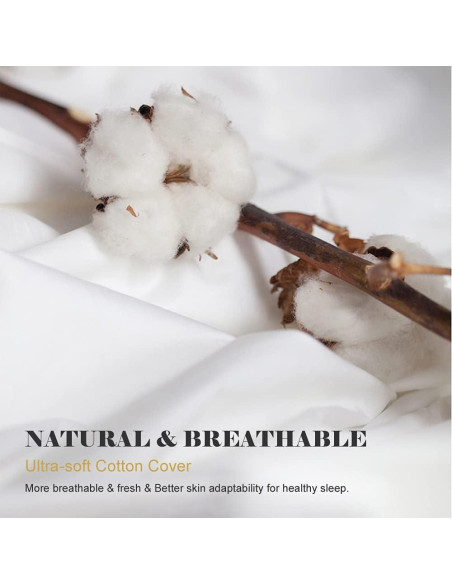 Edredón de Plumas y Plumón TOPGREEN King 100% Algodón Blanco