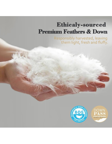 Edredón de Plumas y Plumón TOPGREEN King 100% Algodón Blanco