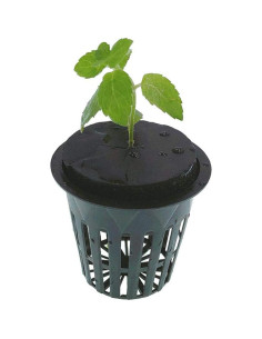 Macetas de Malla HORTIPOTS 2" (75 Piezas) con Tapas Reflectantes 2