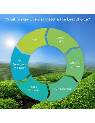 Polvo de Té Verde Matcha Orgánico uVernal 454g - 100% Puro