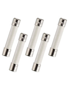 Fusible de Microondas BlueCatELE 20A 250V Lento 5-Pack