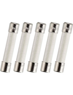 Fusible de Microondas BlueCatELE 20A 250V Lento 5-Pack 2