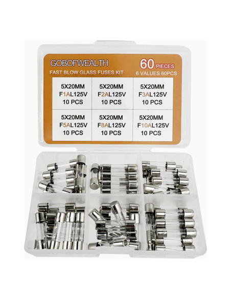 Kit de Fusibles de Vidrio GOBOFWEALTH 5x20mm 60 Piezas