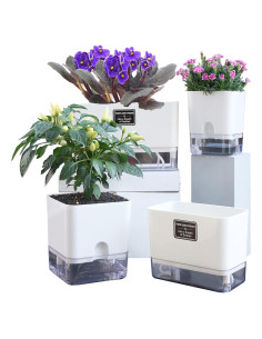 Macetas Autorriego FAMZ 4 Pack Cuadradas Transparentes 10" 7" 5.5" 4.3"