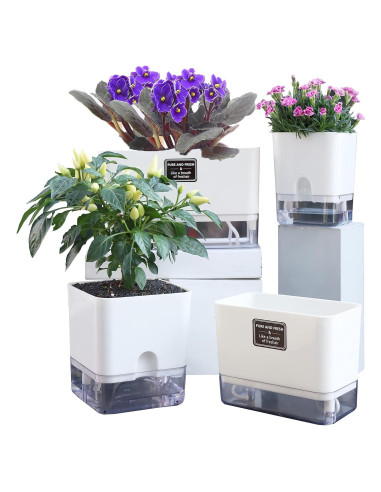 Macetas Autorriego FAMZ 4 Pack Cuadradas Transparentes 10" 7" 5.5" 4.3"