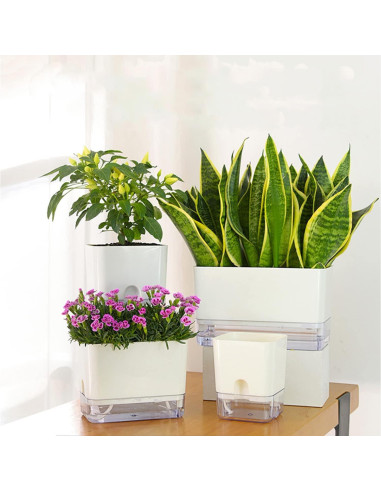 Macetas Autorriego FAMZ 4 Pack Cuadradas Transparentes 10" 7" 5.5" 4.3"