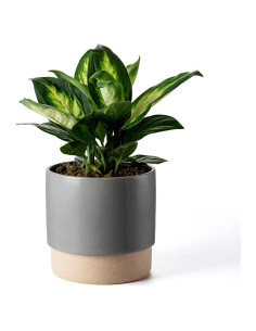 Maceta de Cerámica Autorriego Chubacoo 20 cm Gris Oscuro