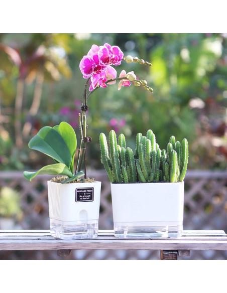 Macetas Autorriego FAMZ 4 Pack Cuadradas Transparentes 10" 7" 5.5" 4.3"