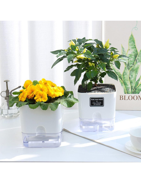 Macetas Autorriego FAMZ 4 Pack Cuadradas Transparentes 10" 7" 5.5" 4.3"